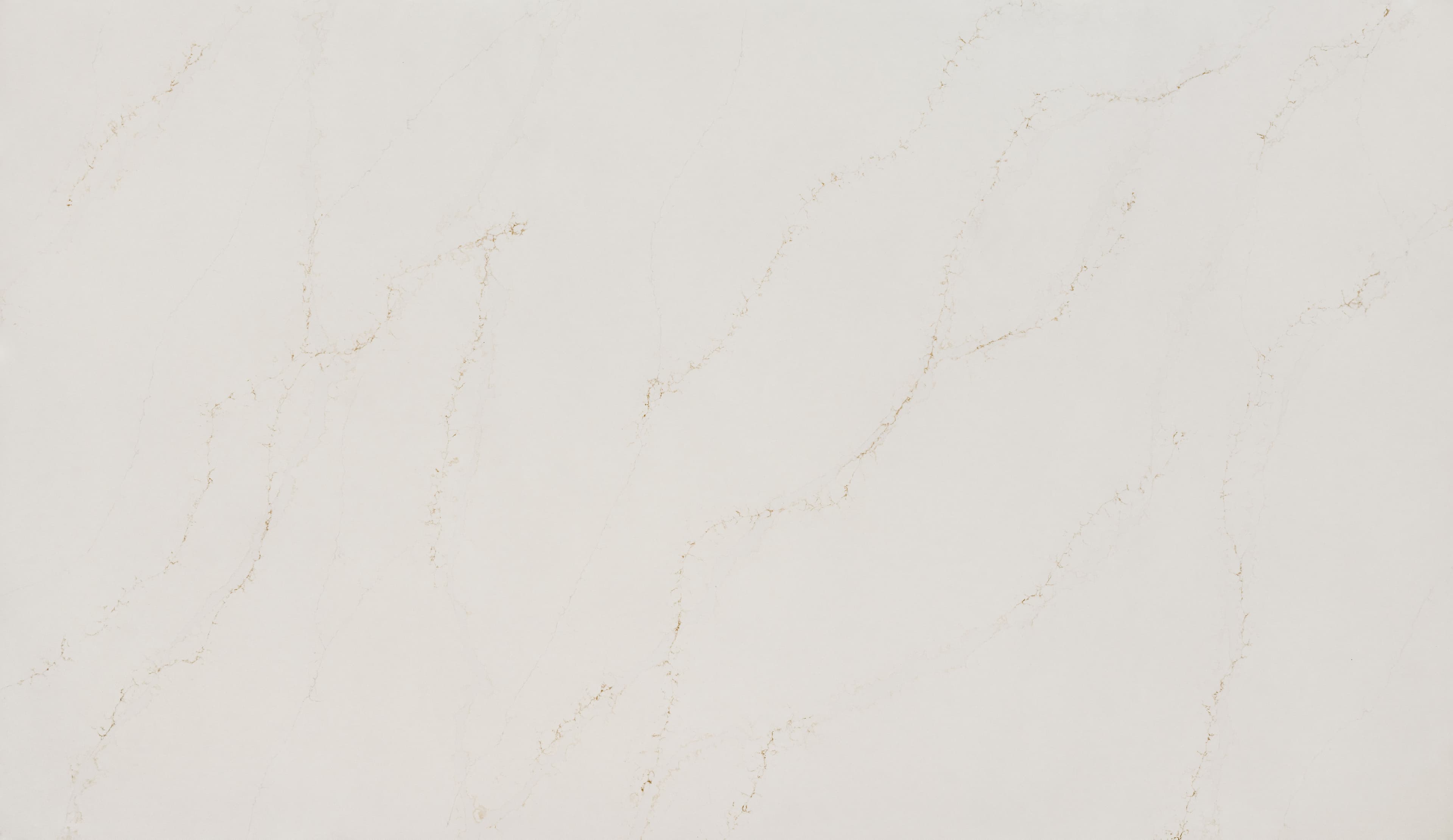 Arya (3008) — Pacific Surfaces Top Collection
